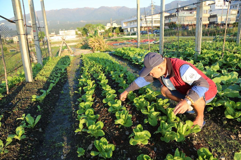 菜爺爺親子蔬宿vegepapa B&B Jiaoxi Luaran gambar